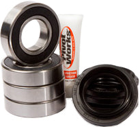 PIVOT WORKS Rear Wheel Bearing Kit - 52-0582