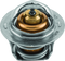 QuadBoss 17-19 Polaris ACE 500 Thermostat