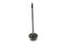 Sifton Steel Intake Valve - 11-0600