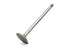 Sifton Steel Intake Valve - 11-0601