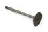 Sifton Steel Intake Valve - 11-0601