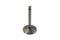 Motorshop Nitrate Steel Intake Valve - 11-0606