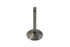 Motorshop Nitrate Steel Intake Valve - 11-0606