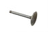 Motorshop Nitrate Steel Intake Valve - 11-0606