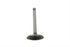 Motorshop Nitrate Steel Intake Valve - 11-0606