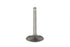 Motorshop Stainless Steel Intake Valve - 11-0625