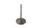Motorshop 1000cc Chrome Intake Valve - 11-0628