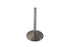 Motorshop 1000cc Chrome Intake Valve - 11-0628