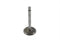 Motorshop Chrome Intake Valve - 11-0630