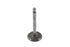 Motorshop Chrome Intake Valve - 11-0630