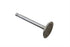 Motorshop Chrome Intake Valve - 11-0630