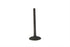 Sifton 1200cc Nitrate Steel Intake Valve - 11-1109