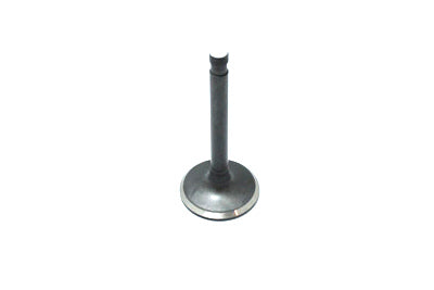 Sifton Nitrate Steel Exhaust Valve - 11-1120
