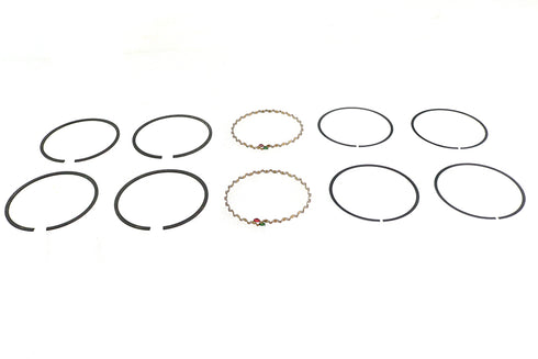 Rowe 3-1/2 inch Evolution Piston Ring Set .020 Oversize - 11-1289