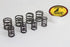 Kibblewhite Kibblewhite Stock Replacement Valve Spring Set - 11-1470