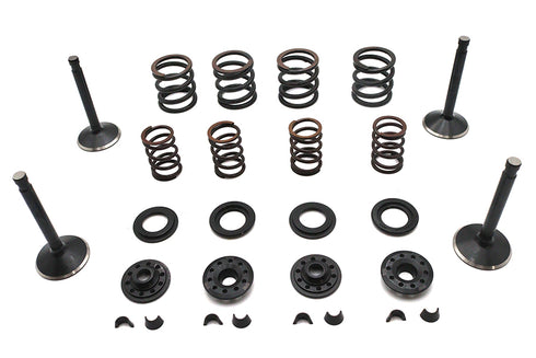 Kibblewhite Kibblewhite Valve and Spring Kit - 11-2023