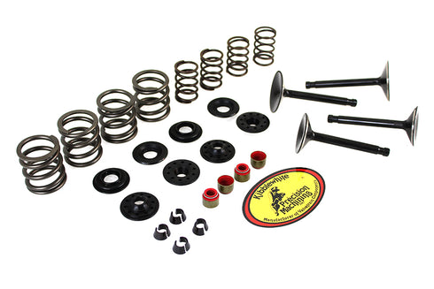 Kibblewhite Kibblewhite Valve and Spring Kit - 11-2025