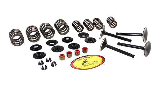 Kibblewhite Kibblewhite Valve and Spring Kit - 11-2025