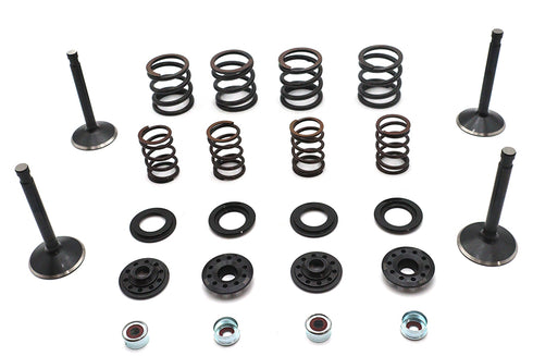 Kibblewhite Kibblewhite Valve and Spring Kit - 11-2026