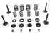 Kibblewhite Kibblewhite Valve and Spring Kit - 11-2026