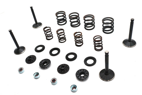 Kibblewhite Kibblewhite Valve and Spring Kit - 11-2026