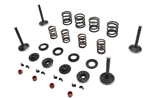 Kibblewhite Kibblewhite Valve and Spring Kit - 11-2027