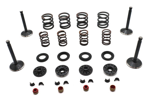 Kibblewhite Kibblewhite Valve and Spring Kit - 11-2028