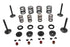 Kibblewhite Kibblewhite Valve and Spring Kit - 11-2028