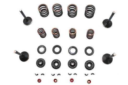Kibblewhite Kibblewhite Valve and Spring Kit - 11-2028