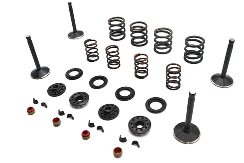Kibblewhite Kibblewhite Valve and Spring Kit - 11-2028