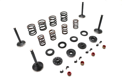 Kibblewhite Kibblewhite Valve and Spring Kit - 11-2028