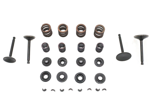 Kibblewhite Kibblewhite Valve and Spring Kit - 11-2030