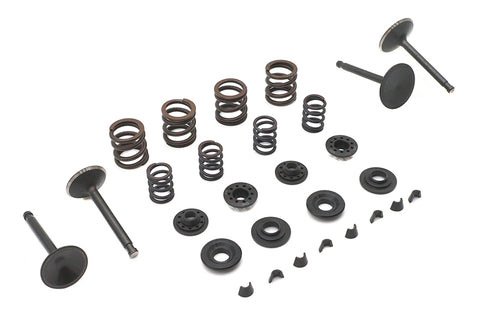 Kibblewhite Kibblewhite Valve and Spring Kit - 11-2030