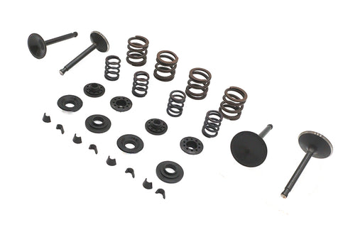 Kibblewhite Kibblewhite Valve and Spring Kit - 11-2030