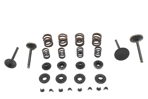 Kibblewhite Kibblewhite Valve and Spring Kit - 11-2030