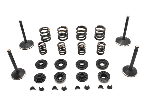 Kibblewhite Kibblewhite Valve and Spring Kit - 11-2031