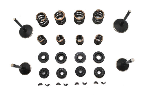 Kibblewhite Kibblewhite Valve and Spring Kit - 11-2031