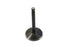 Kibblewhite 2.00 Black Diamond Nitrate Intake Valve - 11-6015