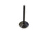 Kibblewhite Black Nitrate Racing Intake Valve - 11-6018
