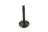 Kibblewhite Black Diamond Stem Exhaust Valve - 11-6096