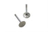 Manley Stainless Steel Exhaust Valve - 11-9021