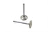 Manley Stainless Steel Intake Valve - 11-9060