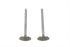 Manley 883cc Stainless Steel Intake Valves - 11-9080