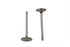 Manley Stainless Steel Exhaust Valves - 11-9081