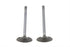 Manley Stainless Steel Intake Valves - 11-9082