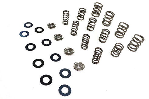 Manley Valve Spring Kit - 11-9612
