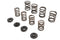 Manley Valve Spring Kit - 11-9613
