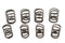 Motorshop Valve Spring Kit - 11-9618