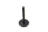 Motorshop Nitrate Intake Valve - 11-9641