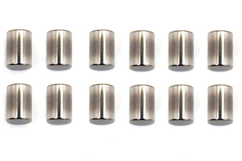 Eastern Standard Engine Case Roller Bearings Left Side - 12-4500